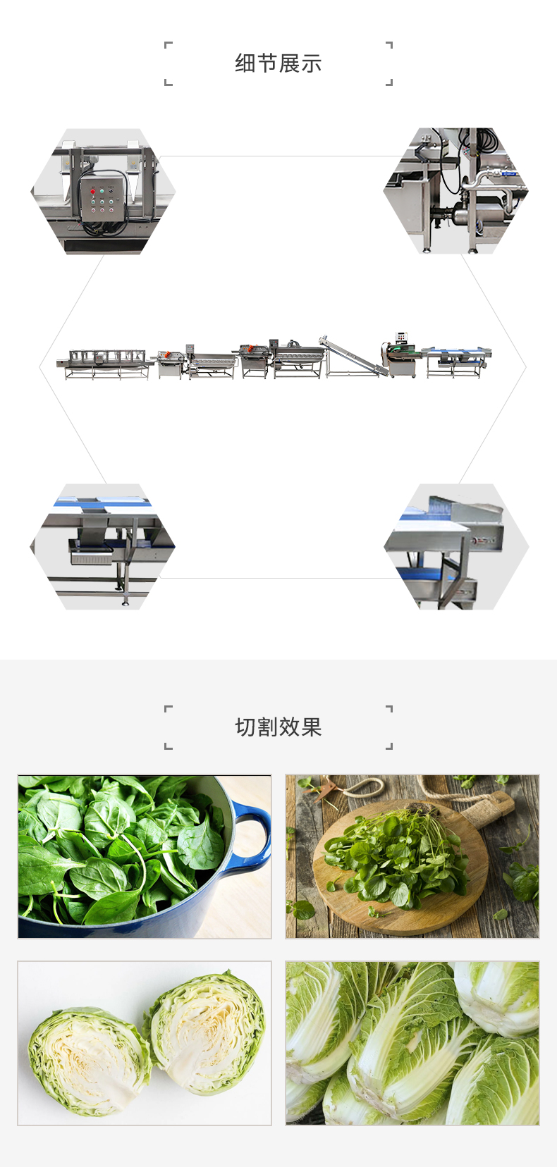 葉菜類清洗加工流水線