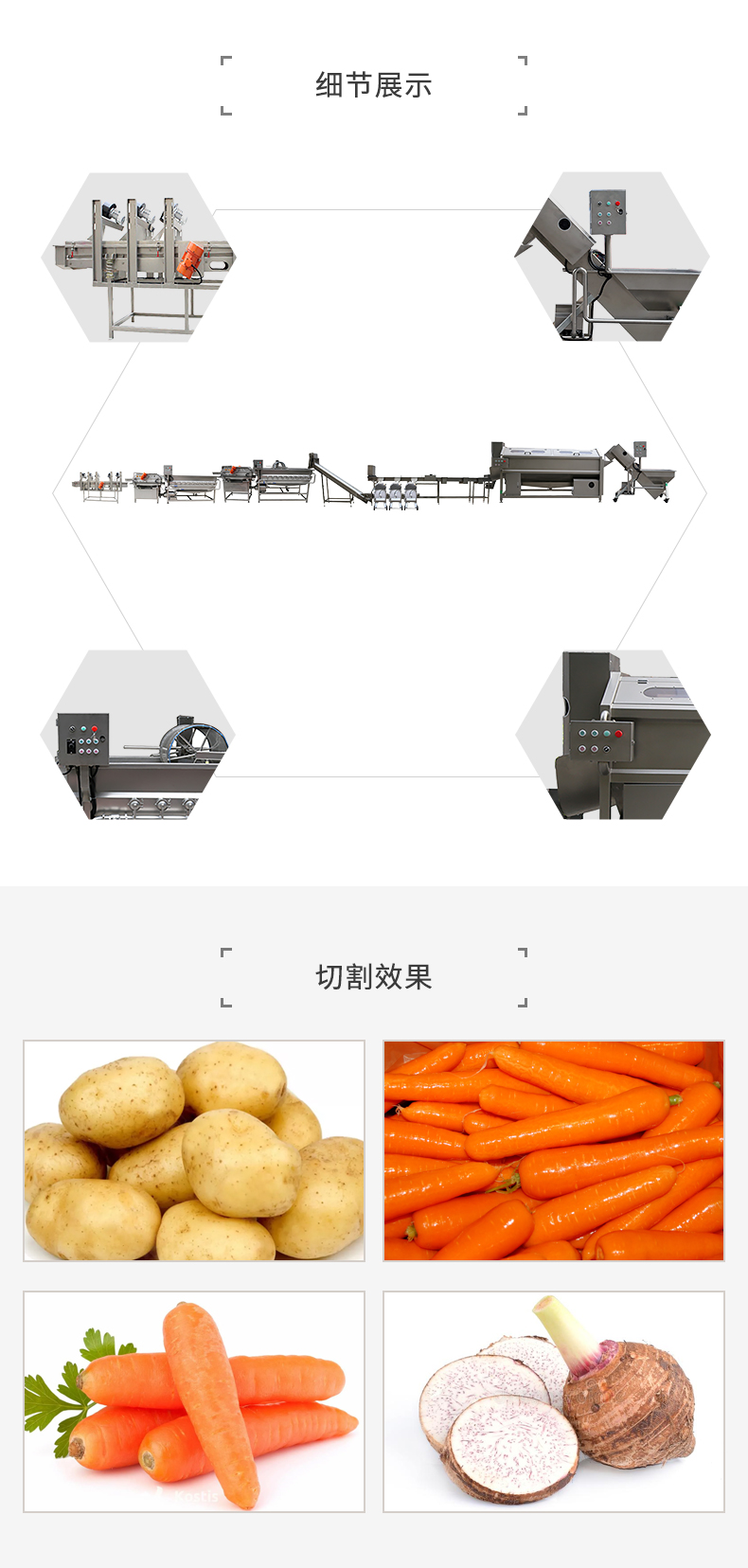 根莖類清洗加工流水線