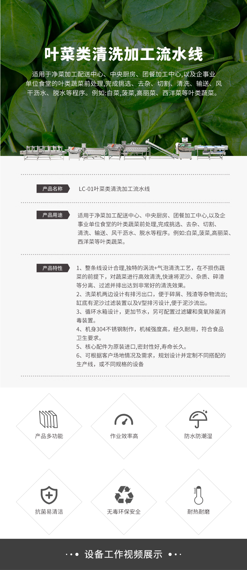 葉菜類清洗加工流水線